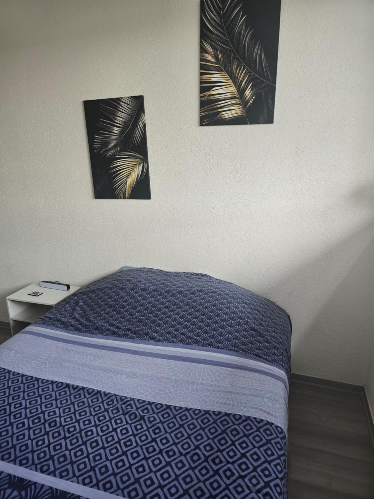 Le Cocoon Lejlighed Belfort Eksteriør billede